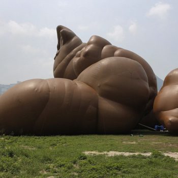 inflatable faeces