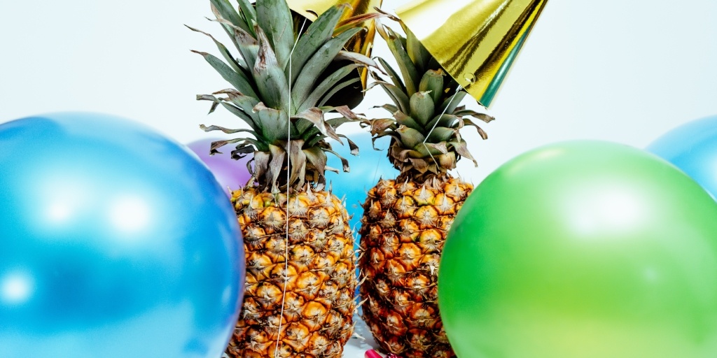 Igloo Disco Party Planners